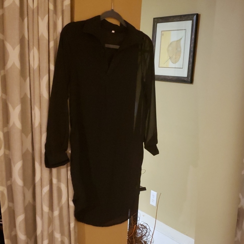 Sheer black, long sleeve blouse